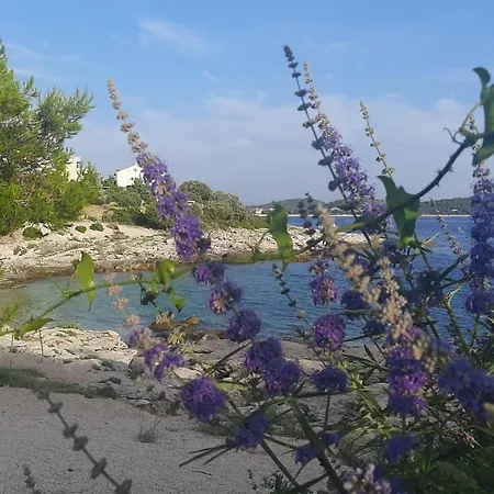 Apartment Mare Nostrum Zecevo